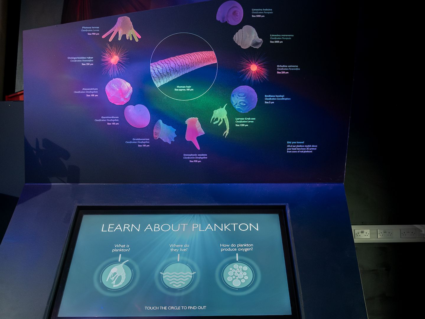 Interactive Digital Exhibits Idea Innovations